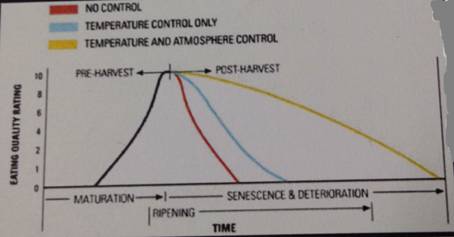 C:Documents and SettingsAdministratorApplication DataTencentUsersP5625402QQWinTempRichOle~0Z[$~~O(YQN4ZC}_TL8G(M.png